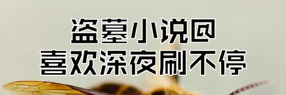 盗墓小说@喜欢深夜刷不停
